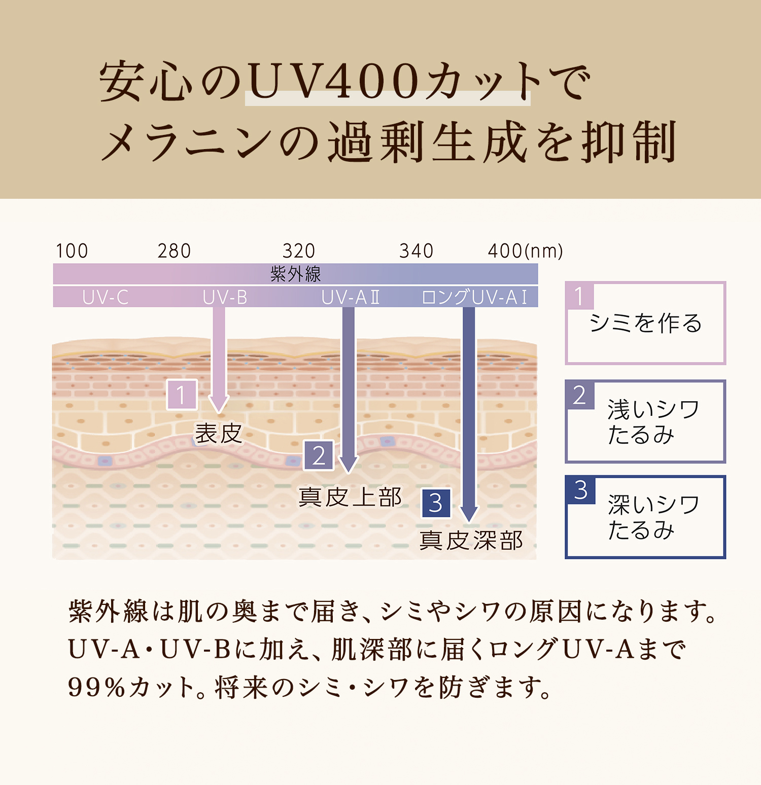 UV400カットでメラニンの過剰生成を抑制